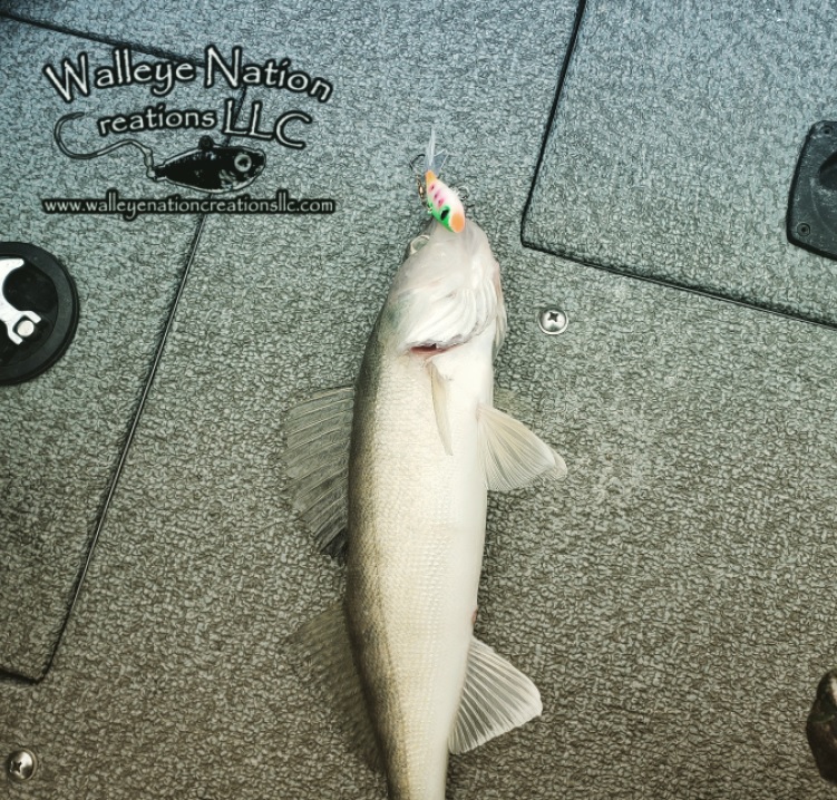 Walleye Nation Creations new Rip~N~Glide! - Great Lakes Guide Online